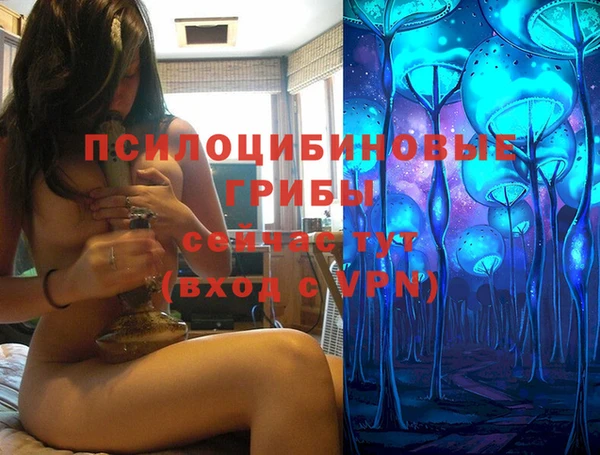 спайс Карталы