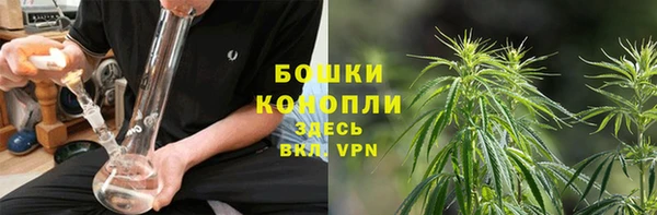 спайс Карталы